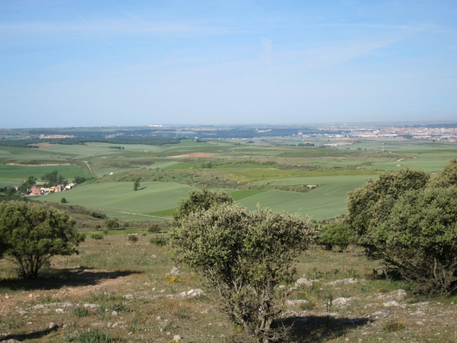 Burgos, off in the distance on the right, and our stopping place for the night. So close yet so far away.
