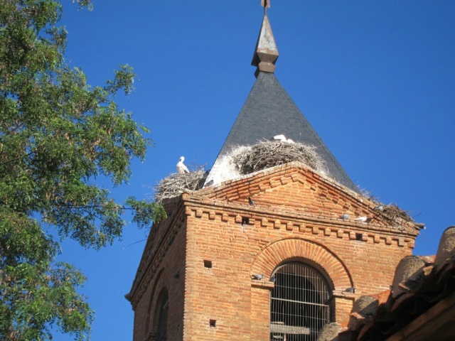 Cranes' nests on top of church in Bercianos del Real Camino.